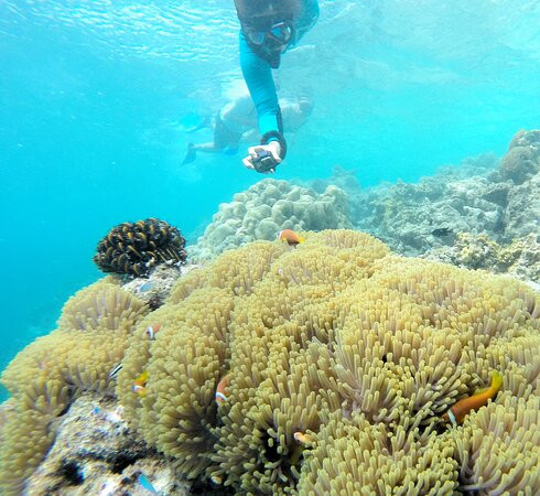 马尔代夫悦榕度假村主图