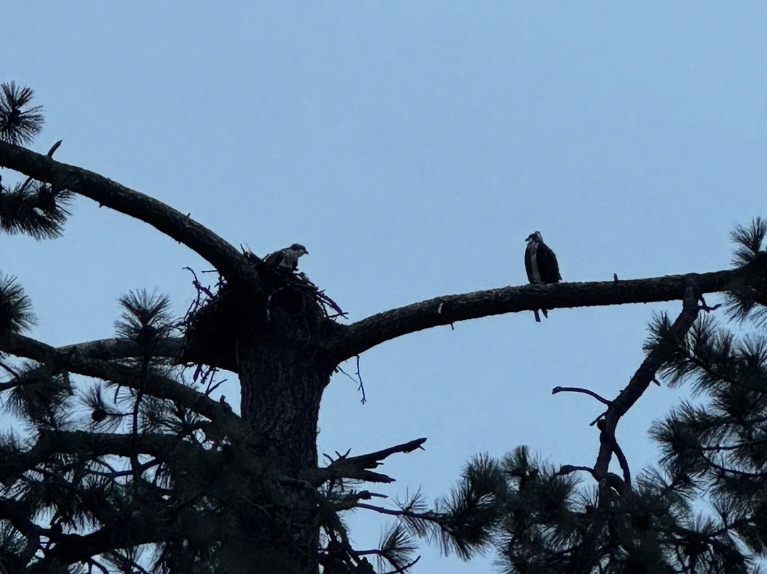 Outdoors Inn Sandpoint | Ponderay主图