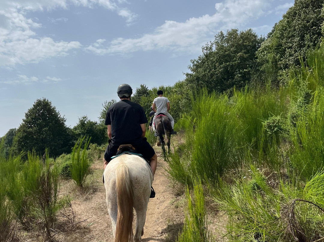 The Fairy Ranch-Rocca di Papa必去景点