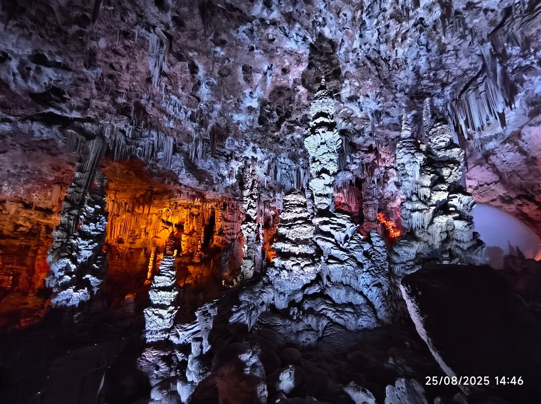 Grotte de la Salamandre-Mejannes-le-Clap必去景点