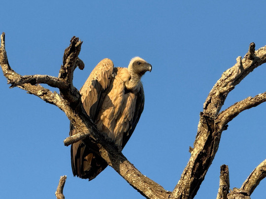 Frame The Wild Pty Ltd-Stellenbosch Farms必去景点