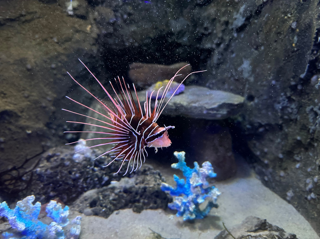 Achill Experience, Aquarium & Visitor Centre-Achill Island必去景点