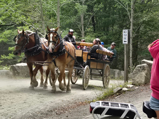 Pedego Electric Bikes Bar Harbor-巴港必去景点