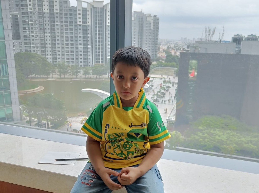 Sheraton Grand Bangalore Hotel At Brigade Gateway主图