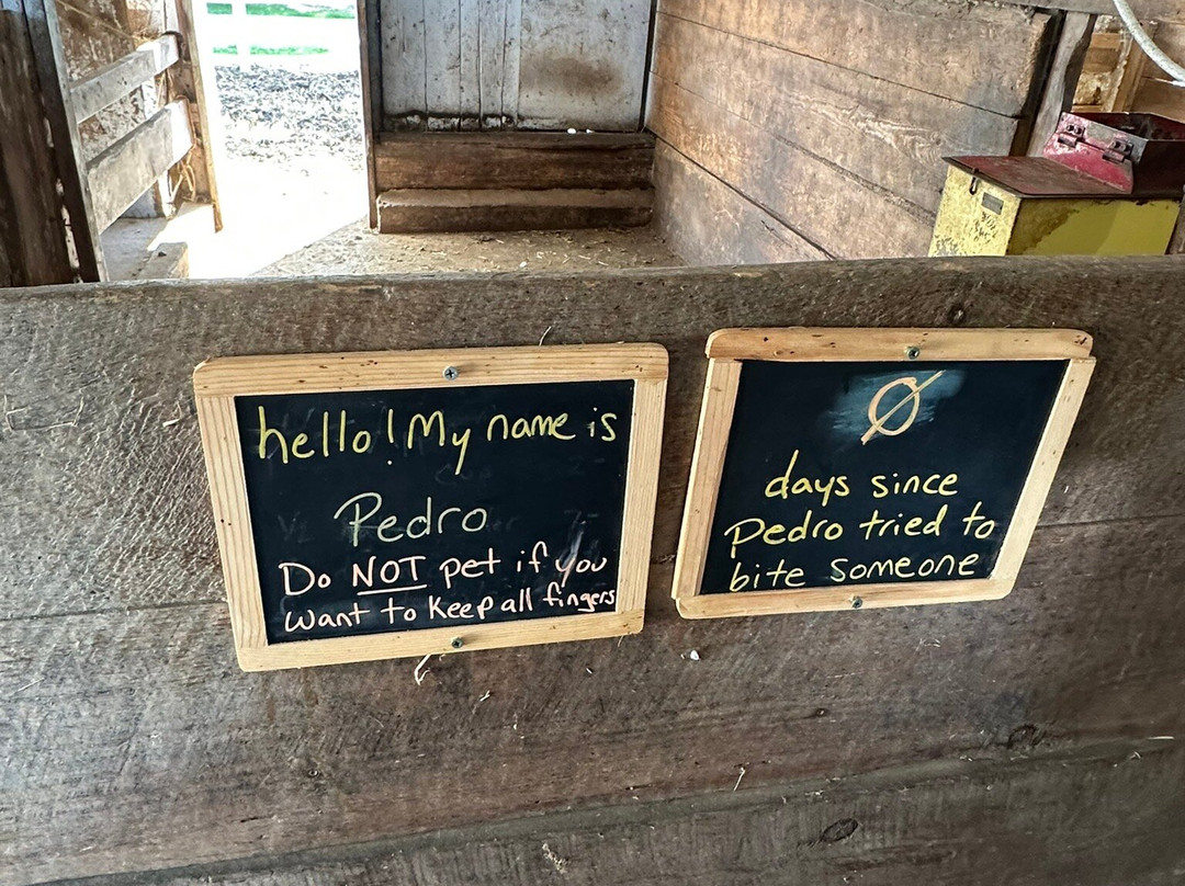 Grandpa Tiny's Farm-弗兰肯默斯必去景点