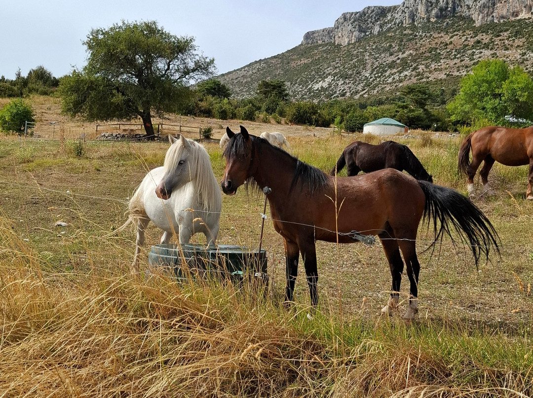 Ferme Saint Pierre主图