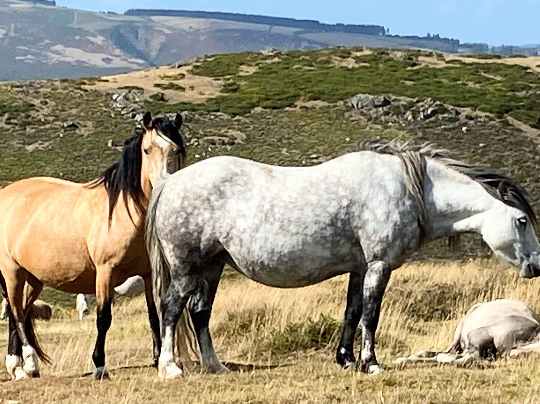Hergest Ridge-Kington必去景点