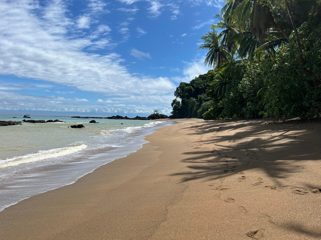 Drake Divers Costa Rica-德雷克湾必去景点