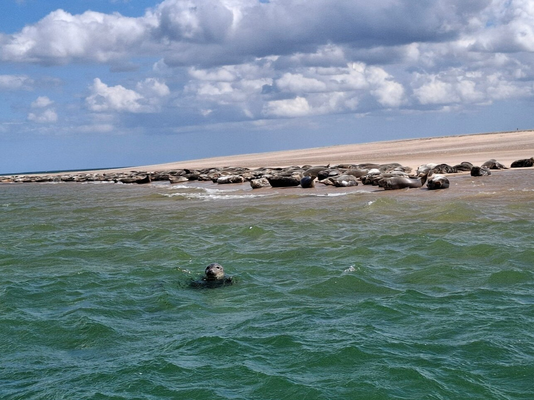 Bishops Boats Seal Trips-布莱克尼必去景点