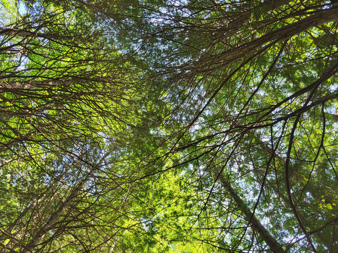 Mono Cliffs Provincial Park-Mono必去景点