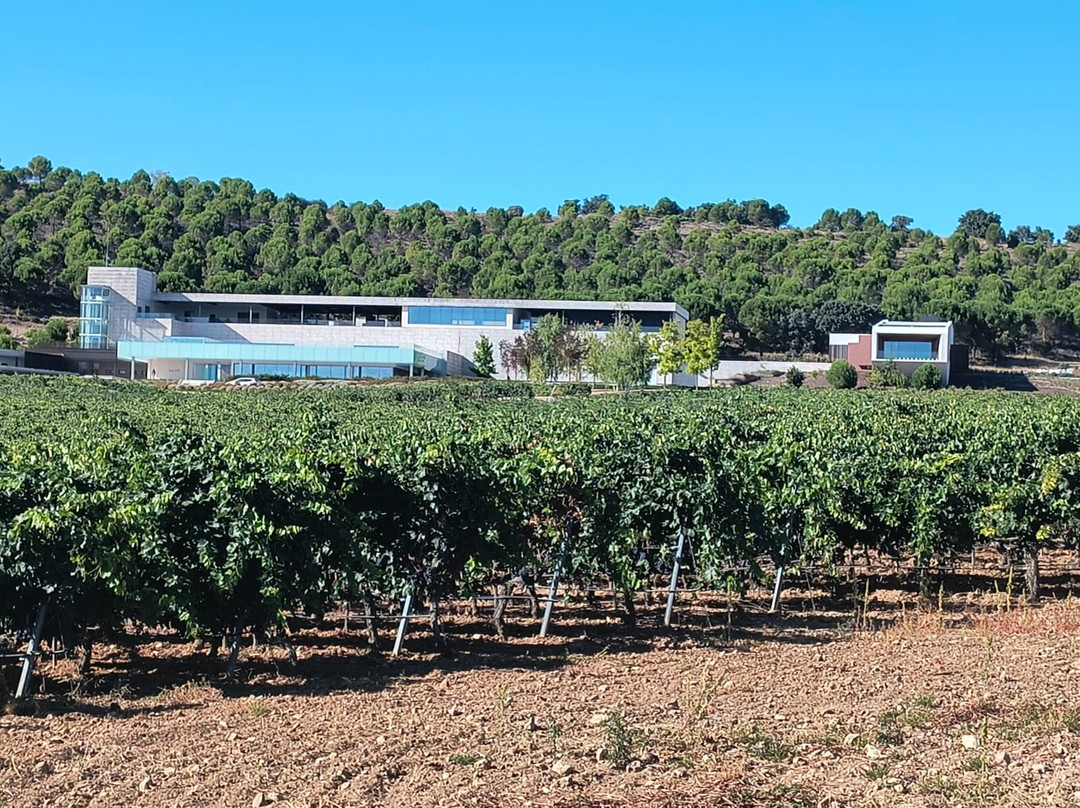 Aalto Bodegas Y Vinedos-Quintanilla de Arriba必去景点