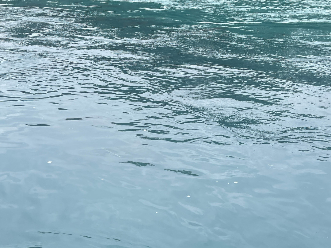 Kenai Riverdog-Cooper Landing必去景点