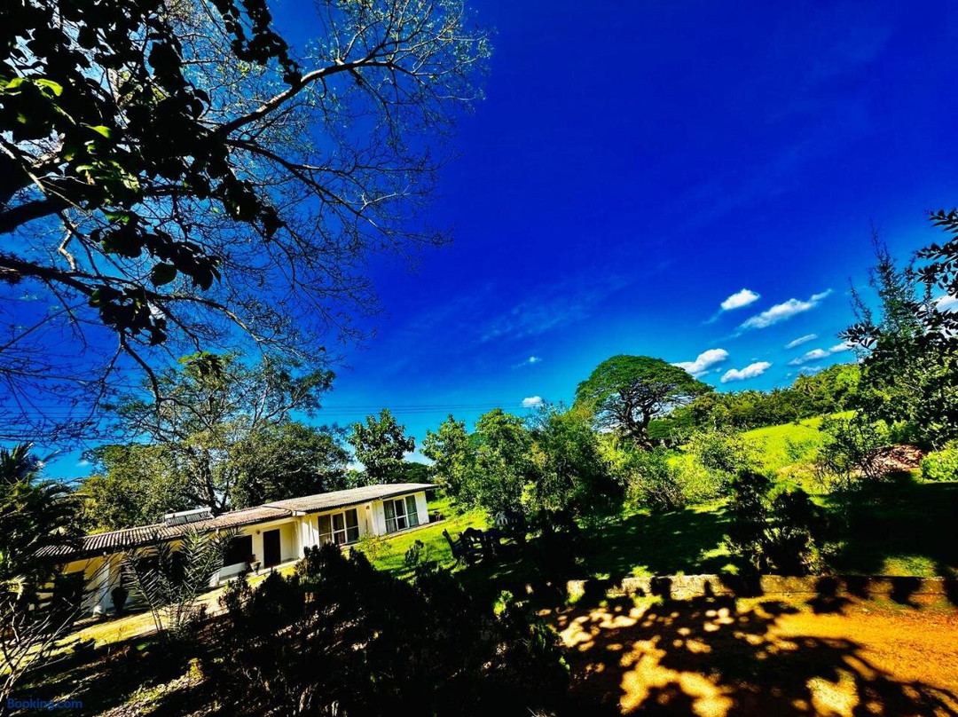 Golden Mount Hotel
