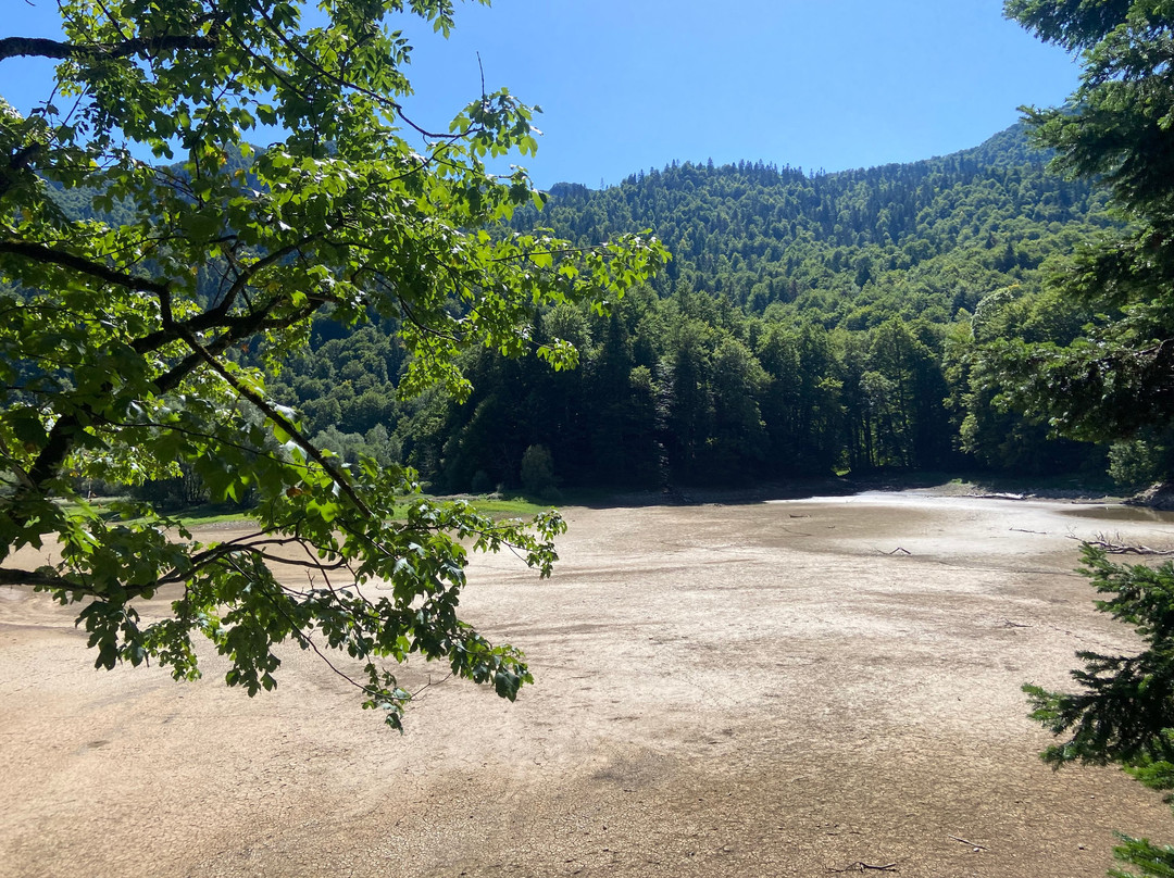 Biogradska Gora National Park Visitor Centre-Kolasin必去景点