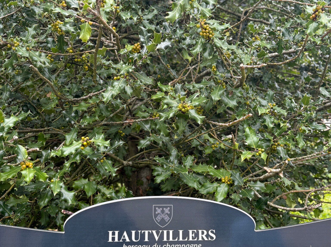 Abbaye Saint-Pierre d'Hautvillers-Hautvillers必去景点