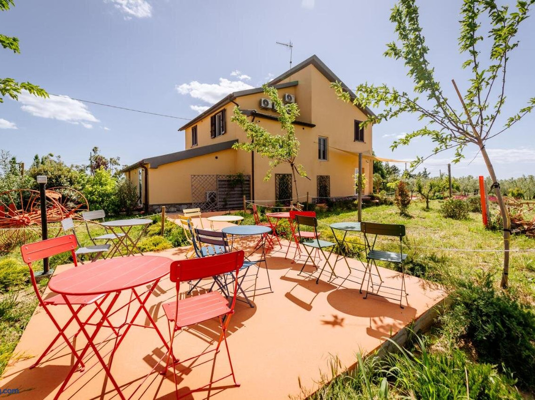 Agriturismo Bio Podere 109 - Wine & Food