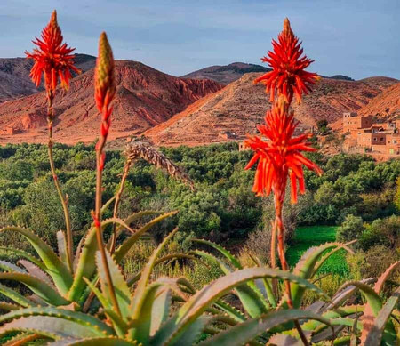 摩洛哥魅力之旅-马拉喀什必去景点