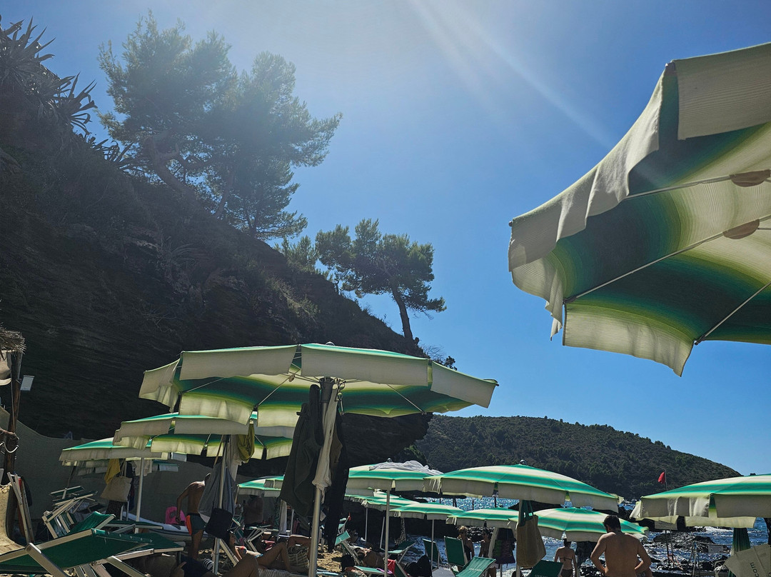 Ficocella Beach-Palinuro必去景点