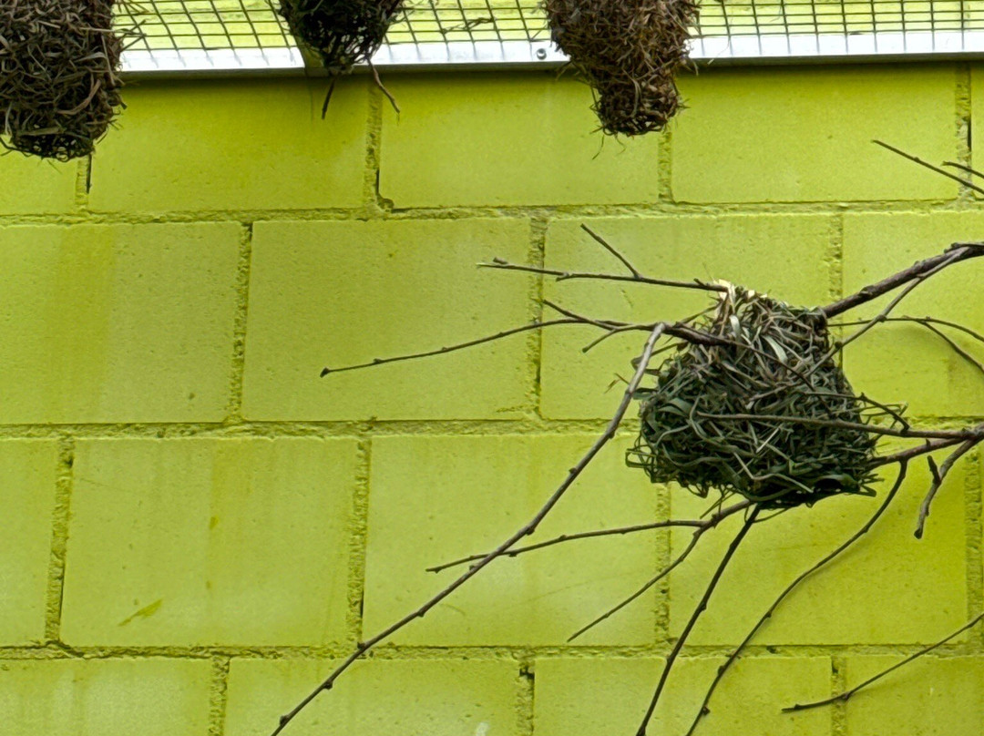 Vogelpark Ambigua-Zeihen必去景点