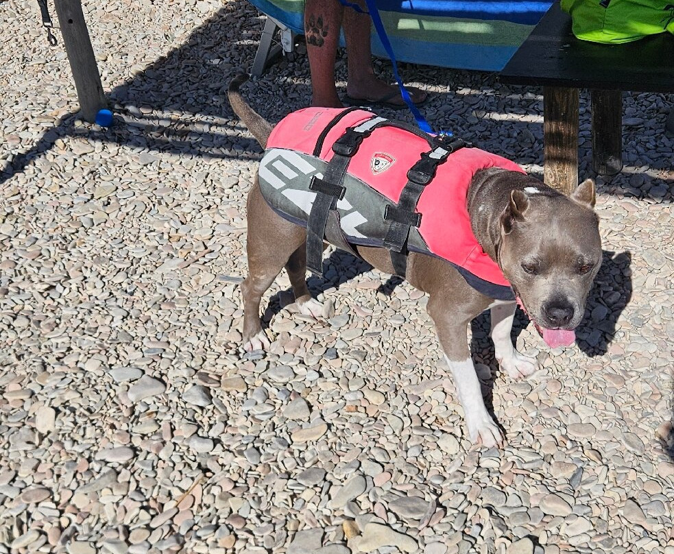 Baia Canaria-塞尼加利亚必去景点