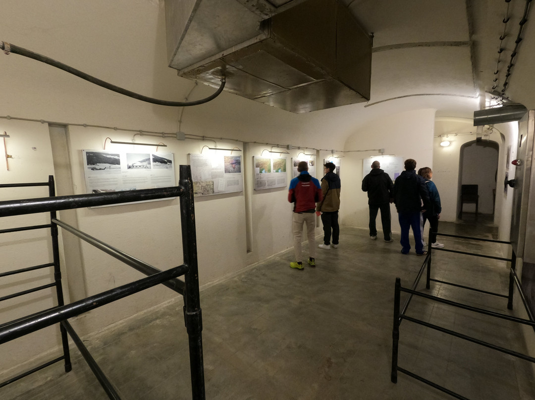 Bunker Museum-多比亚科必去景点