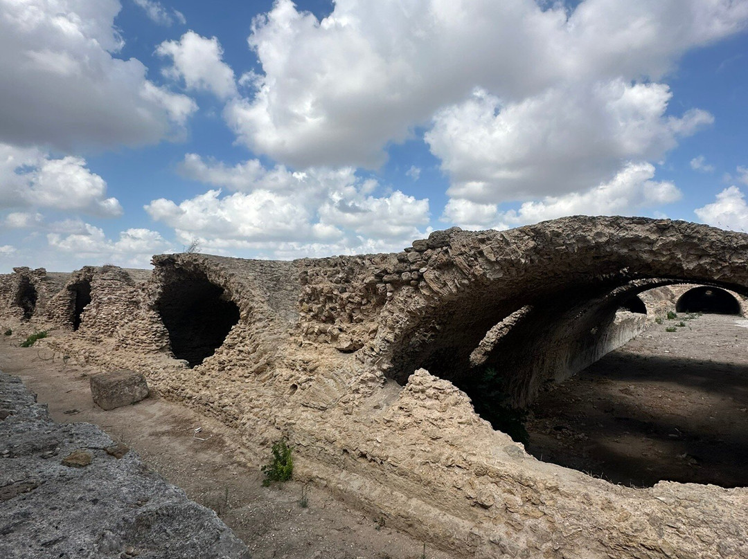 Carthage  Aqueduct-迦太基必去景点