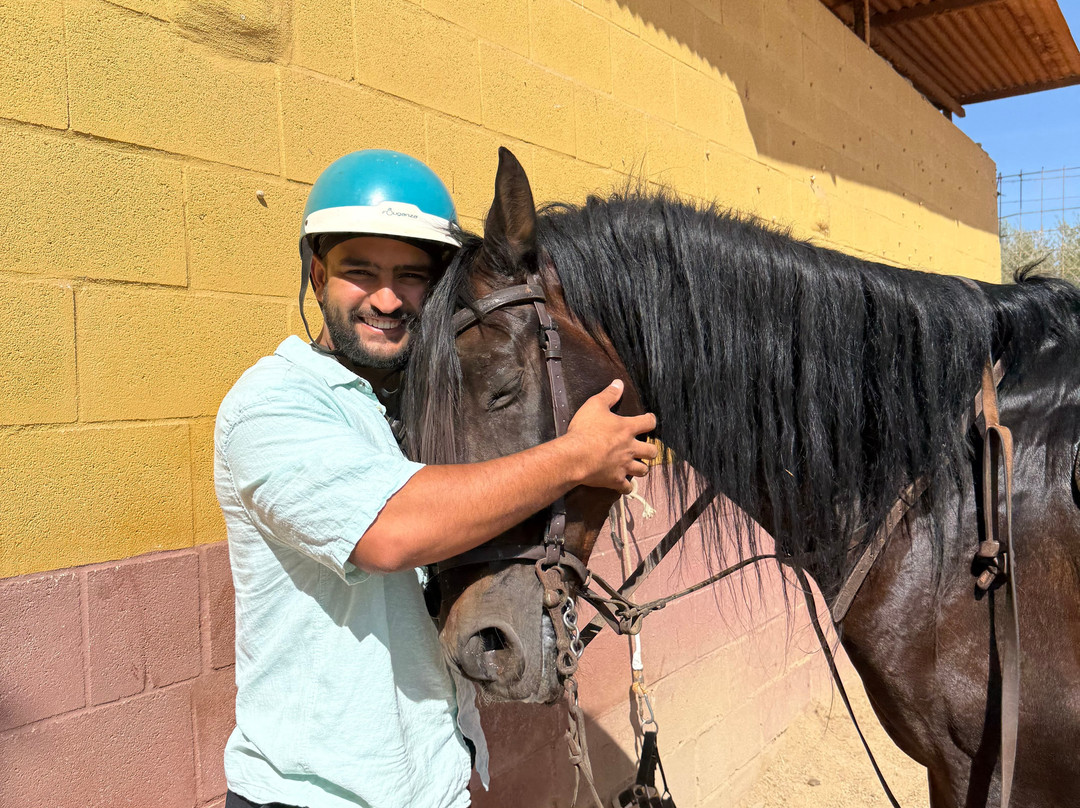 Centro Ecuestre Entrepinares-塞维利亚必去景点