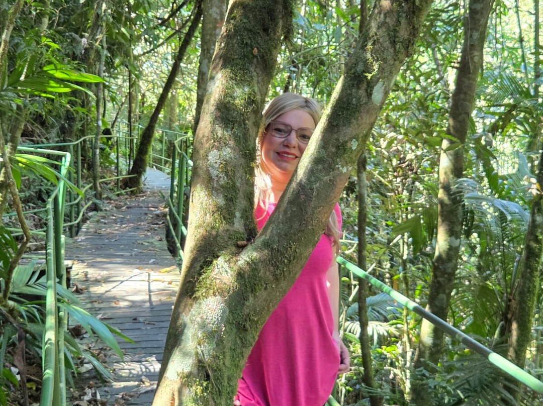 Parque Nacional da Serra dos Órgãos-特雷索波利斯必去景点