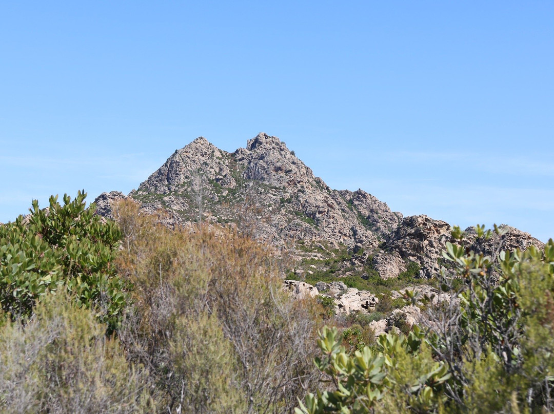 Saleccia Off Road-Saint Florent必去景点