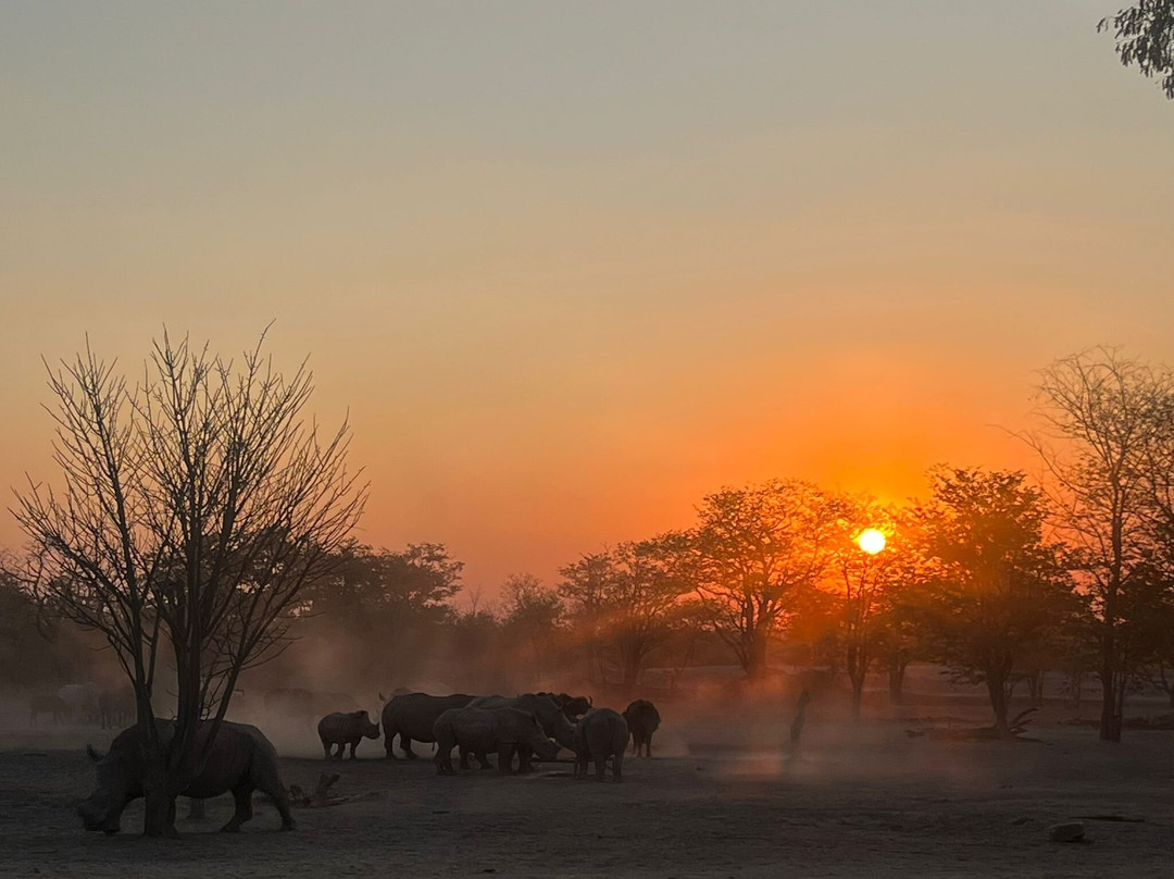 Sukulu Reserve-李文斯顿必去景点