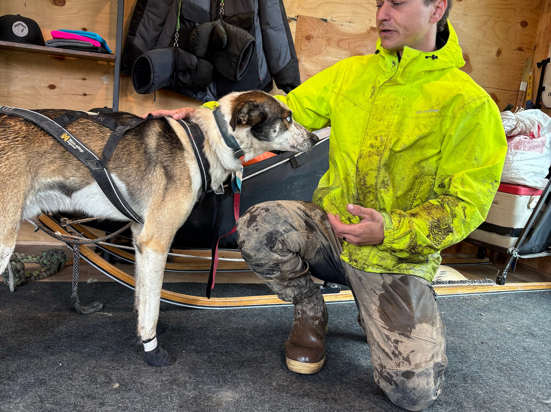 Susitna Sled Dog Adventures-塔尔基特纳必去景点