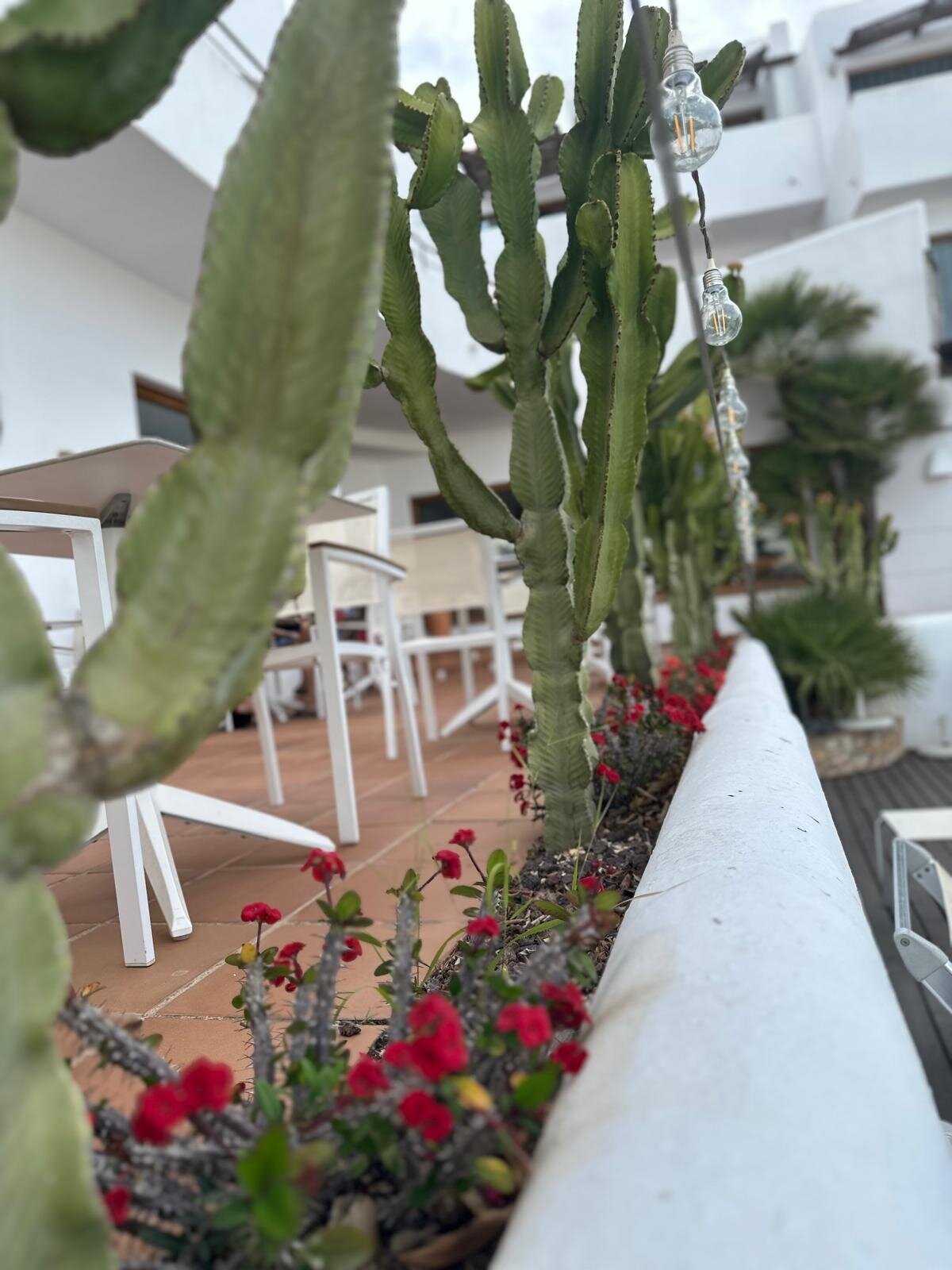 Hotel El Tio Kiko-官方