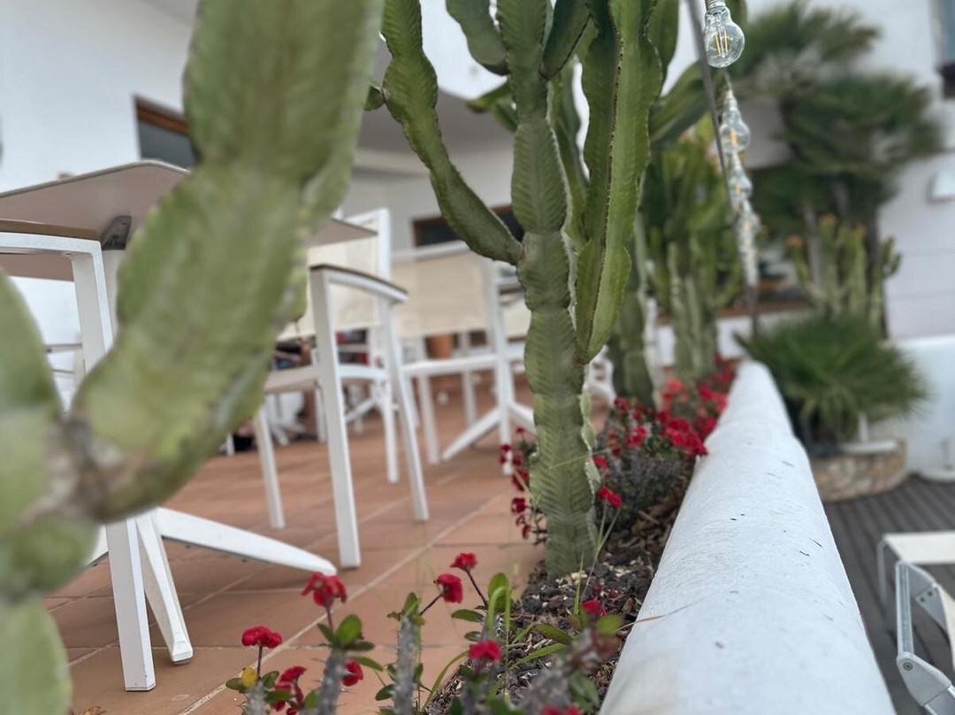 Hotel El Tio Kiko主图