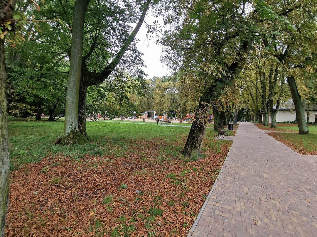 Park Miejski Aleksandria-Siedlce必去景点