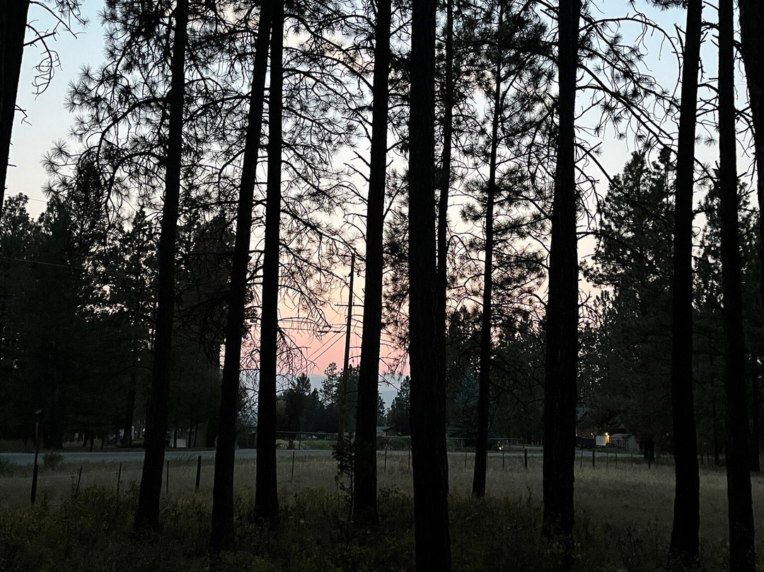 Wasa Lake Provincial Park-Wasa必去景点