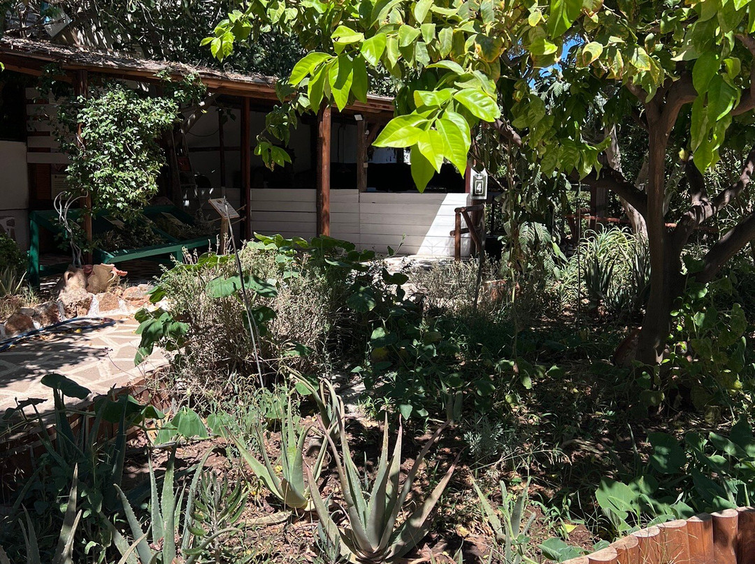 Spiridi Olive Oil Farm-Agios Nikolaos必去景点