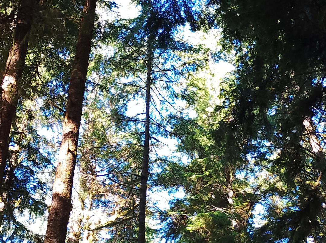 Glacier National Park-雷夫尔斯托克必去景点
