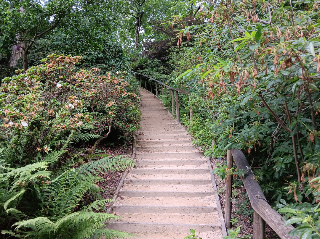 Himalayan Garden & Sculpture Park-Grewelthorpe必去景点