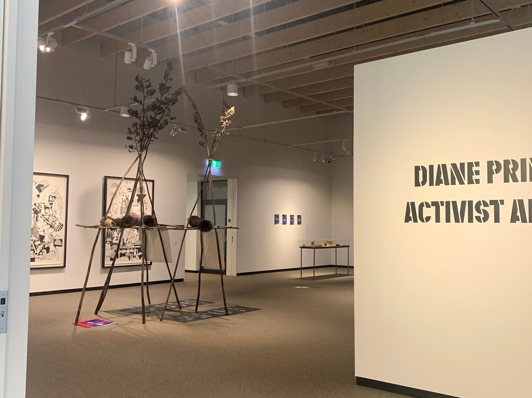 The Suter Art Gallery Te Aratoi o Whakatū-尼尔森必去景点