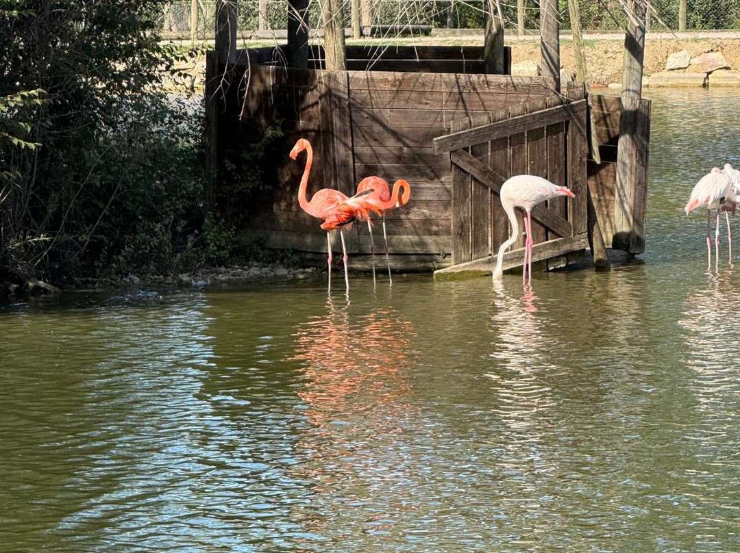 Leo Wild Park-托迪必去景点