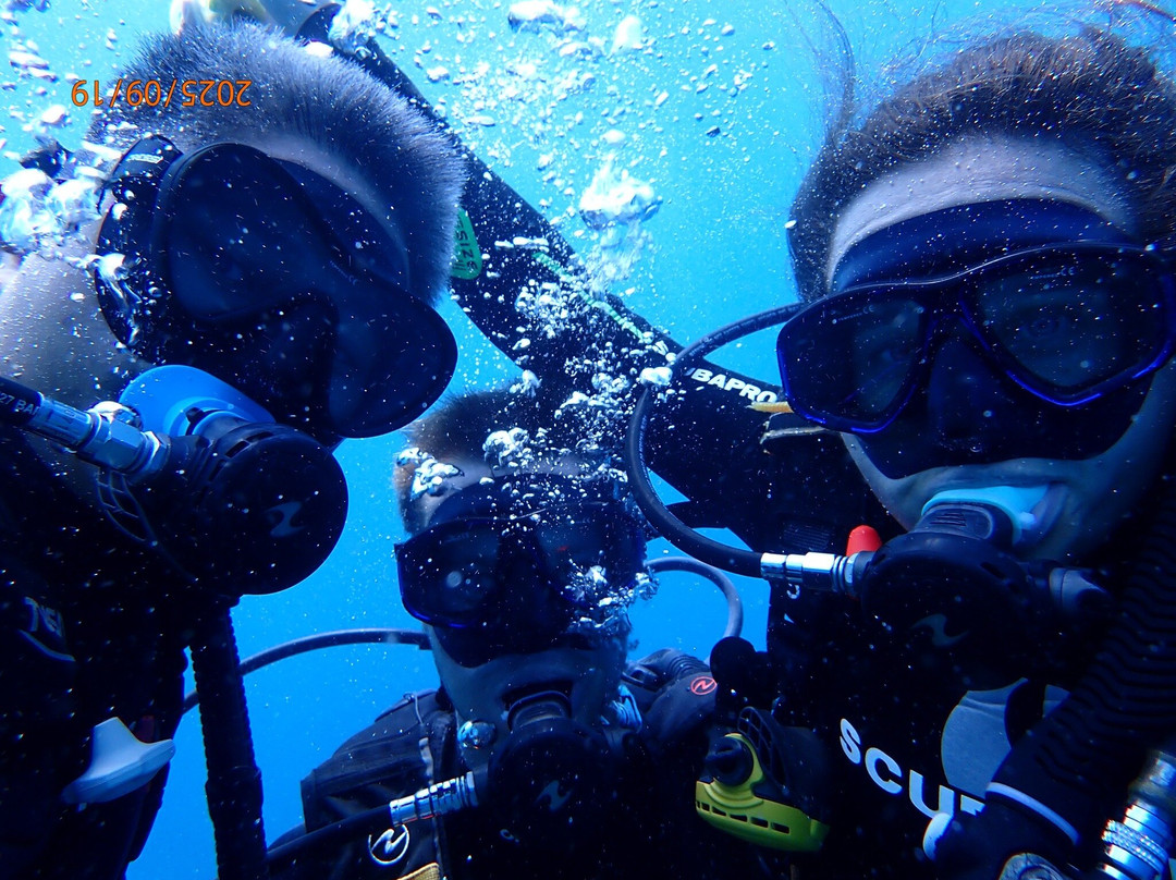 Bali Hai Diving Adventures-蓝梦岛必去景点