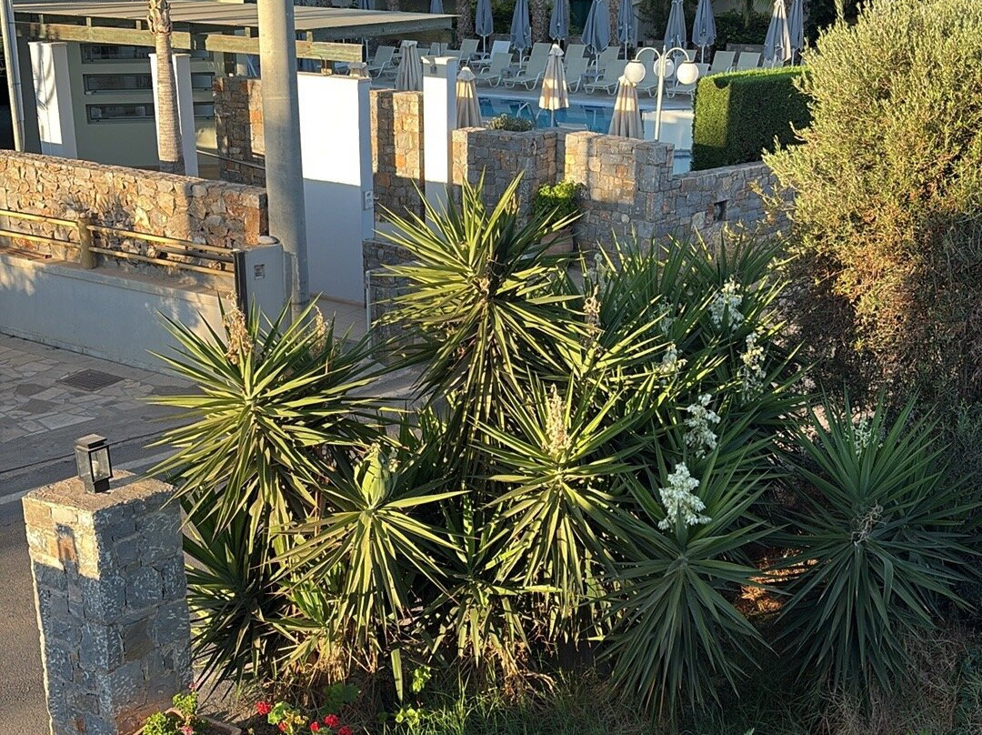 Angela Suites Boutique Hotel主图