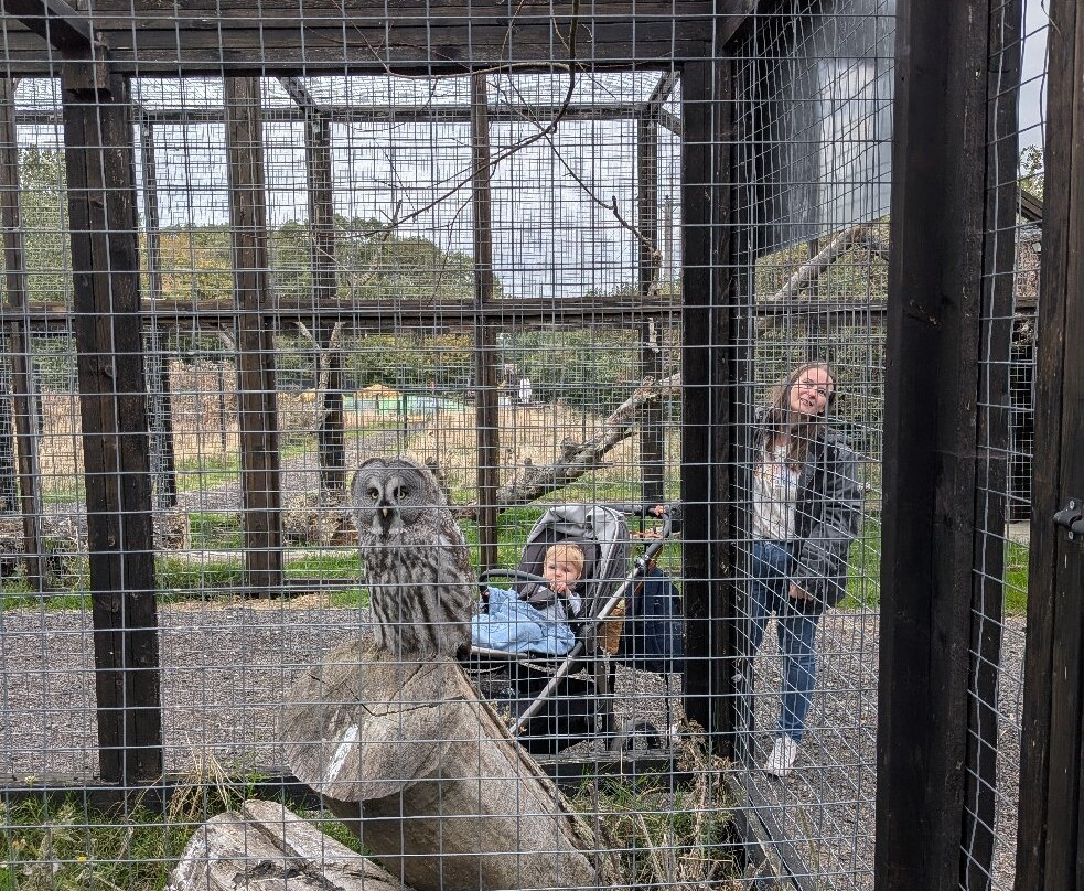 Ashlyns Wildlife Park-North Weald必去景点