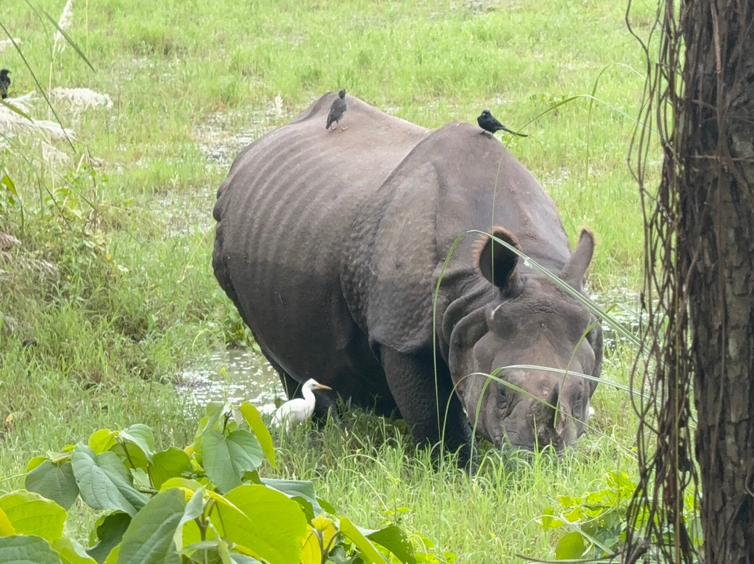 独特野生度假村主图