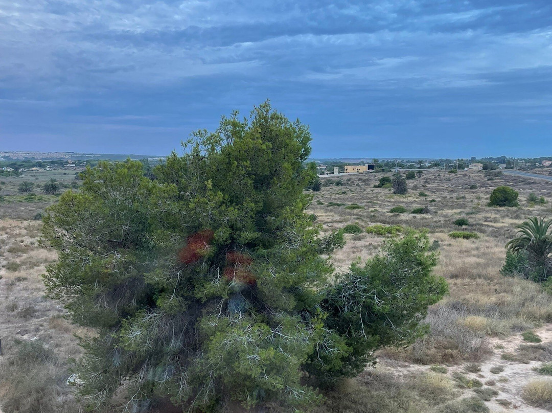 佩恩西玛尔旅馆主图