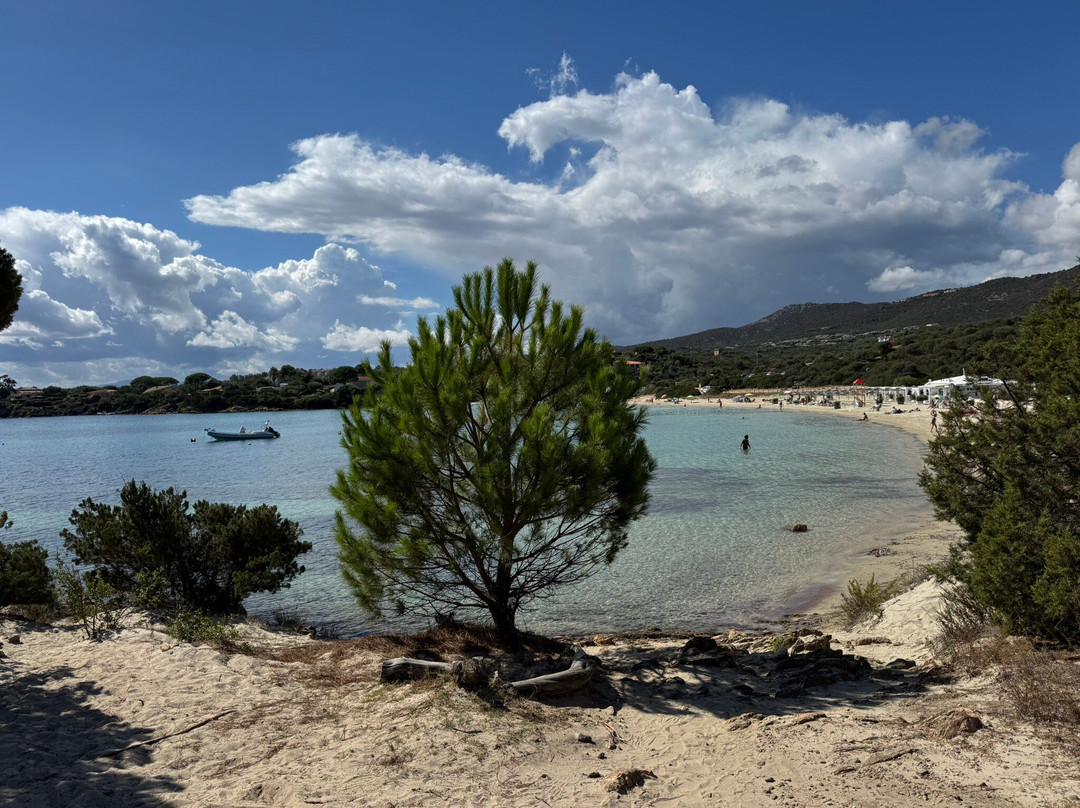 Cala Sassari-Golfo Aranci必去景点