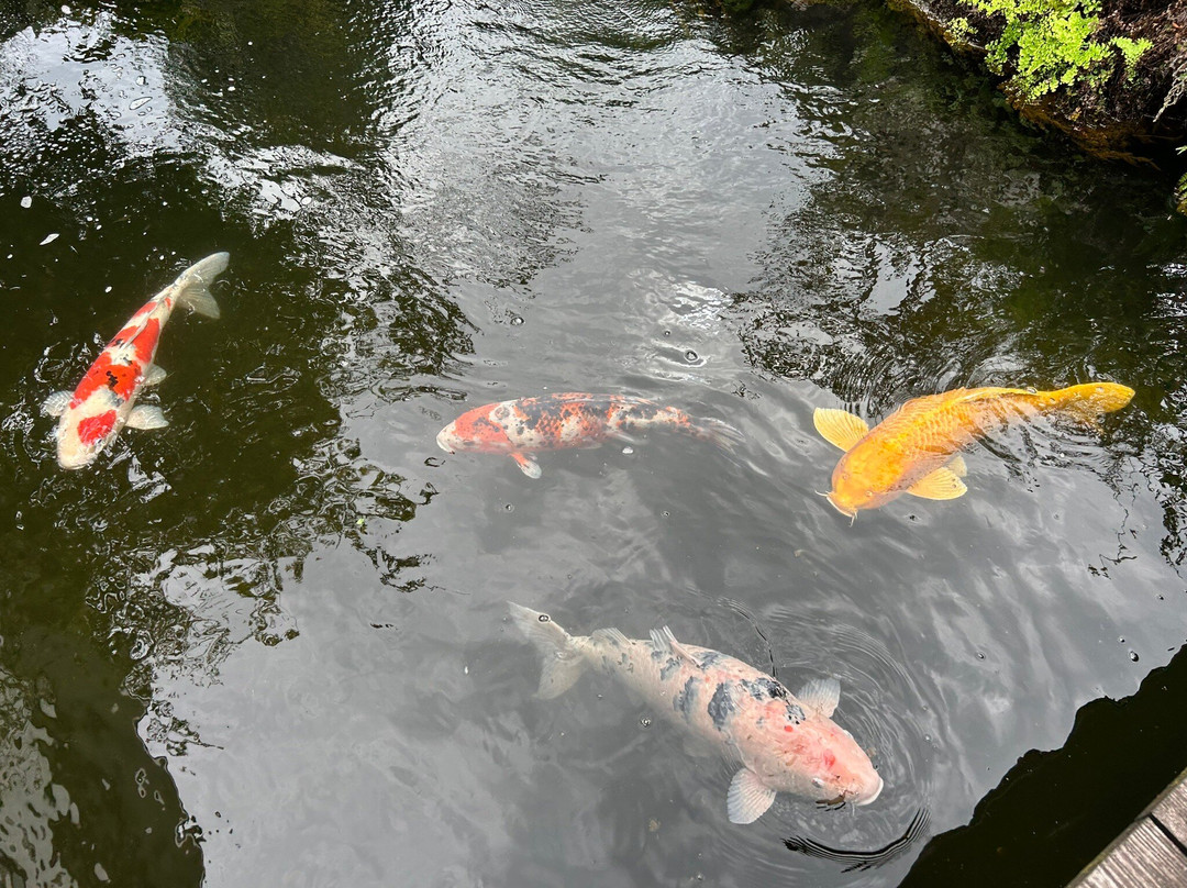 Shimabara Yusui Museum-岛原市必去景点