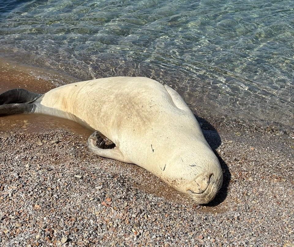 Nimborio Beach-Symi必去景点