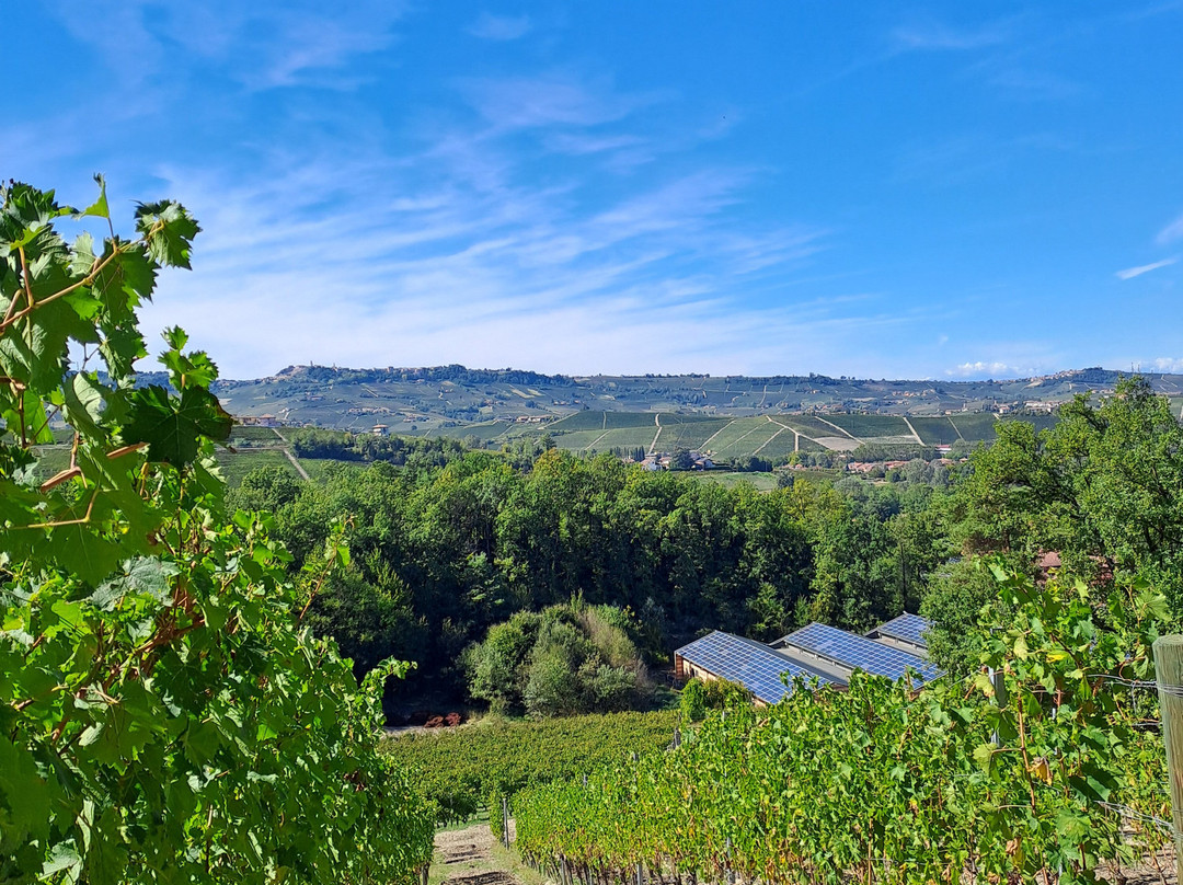 Fontanafredda-塞拉伦加达尔巴必去景点