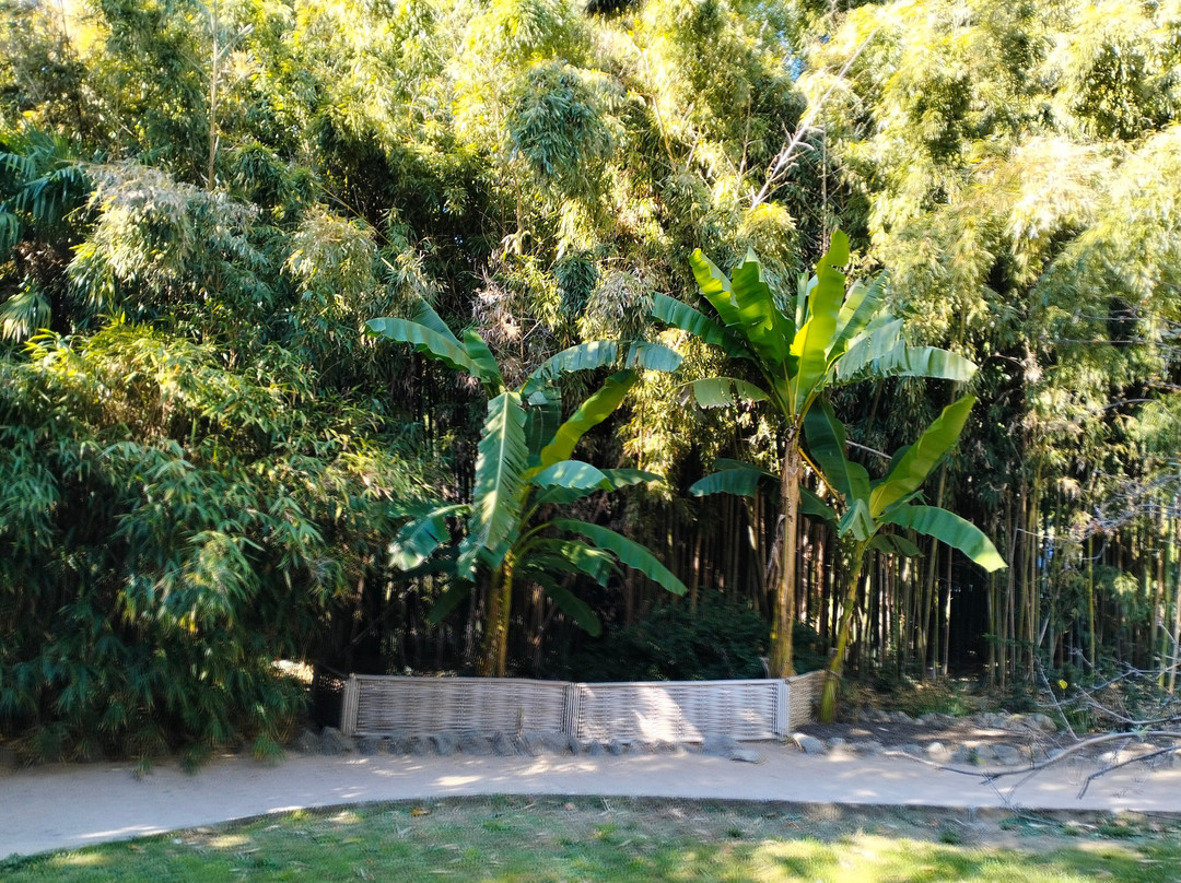 Montedor Park-Nikita必去景点